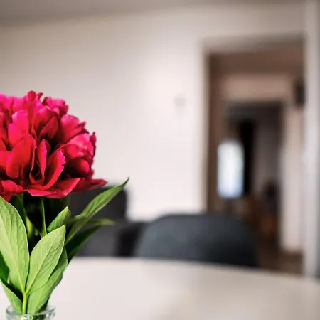 Apartman Rezéti Porboly